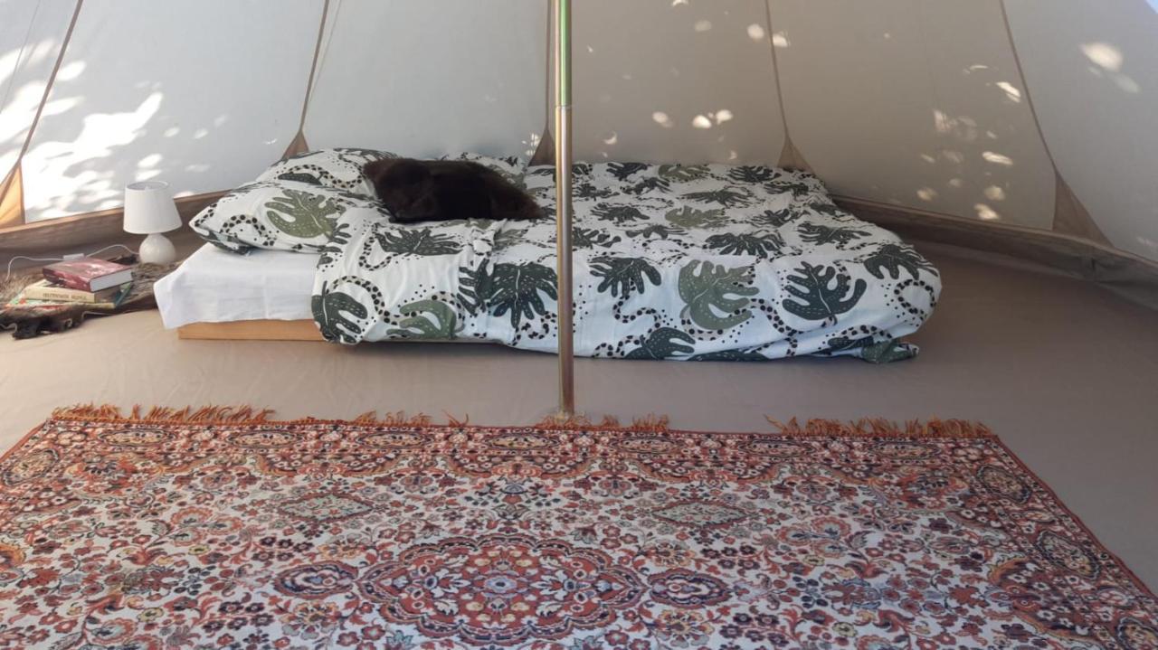 Готель Glamping Fluffy Horns - Glempings Pukainie Ragi Plienciems Екстер'єр фото